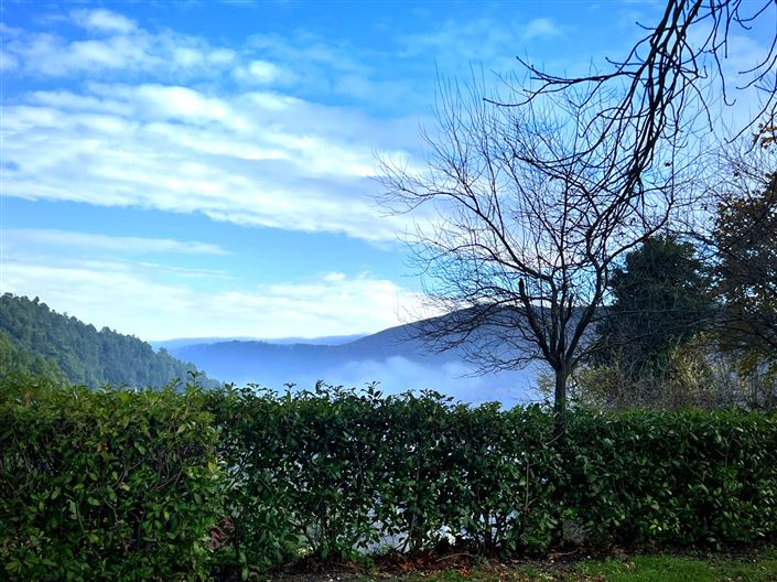 Image No.18-4 Bed House for sale