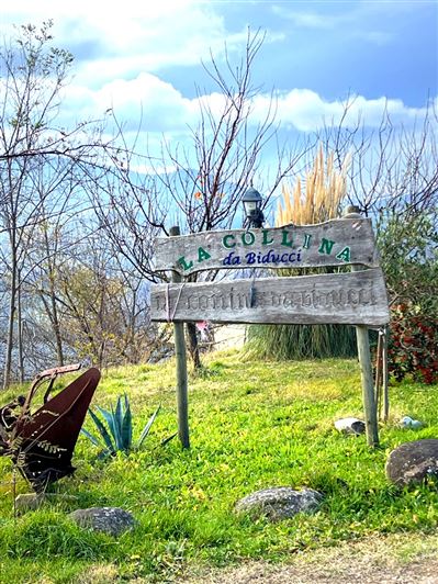 Image No.25-4 Bed House for sale