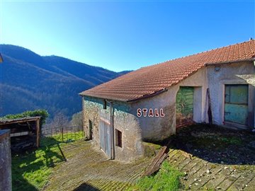 vendita-gruppo-di-fabbricati-massa-carrara-ri