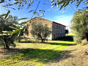 1 - San Costanzo, House