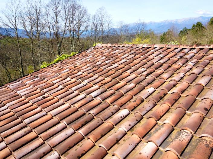 Image No.11-4 Bed Country House for sale