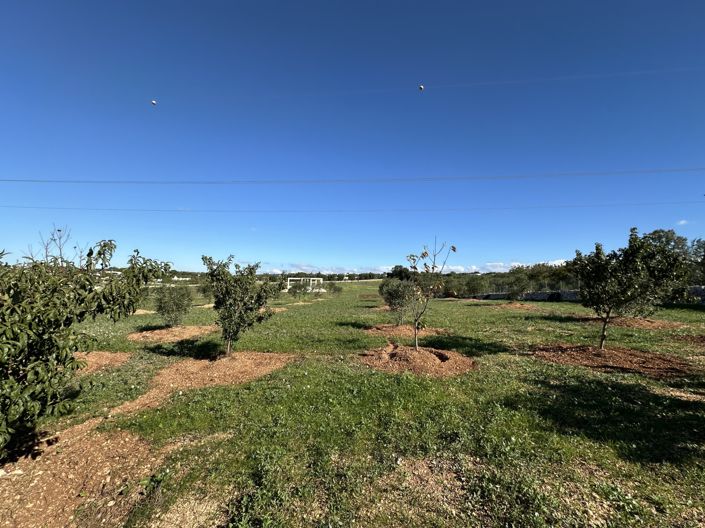 Image No.13-3 Bed House for sale