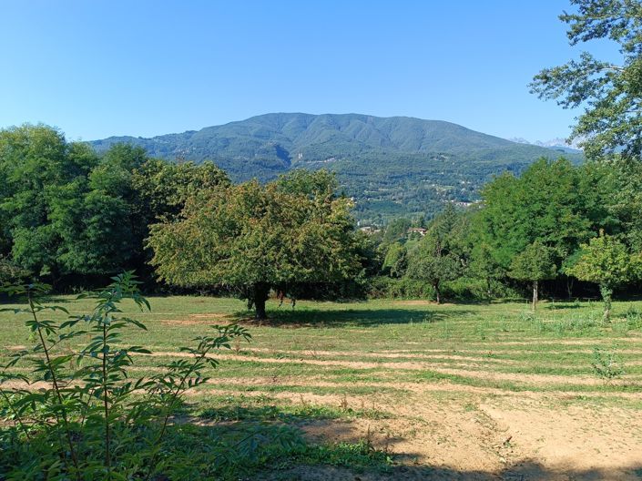 Image No.8-5 Bed House for sale