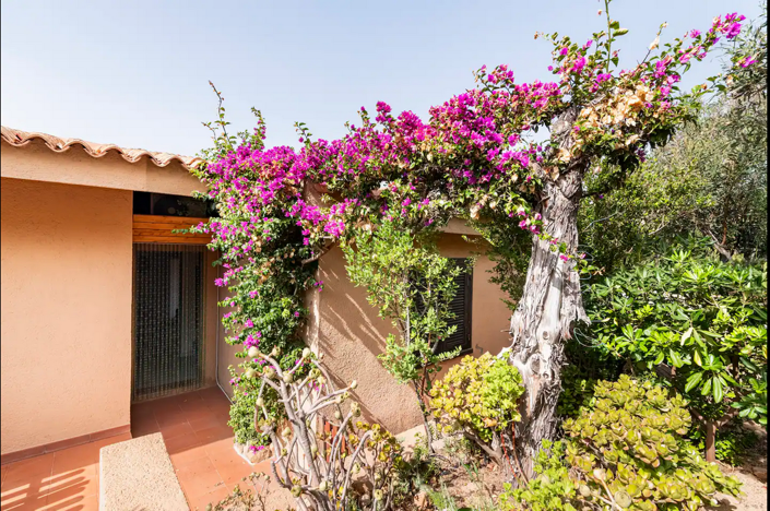 Image No.1-1 Bed House for sale