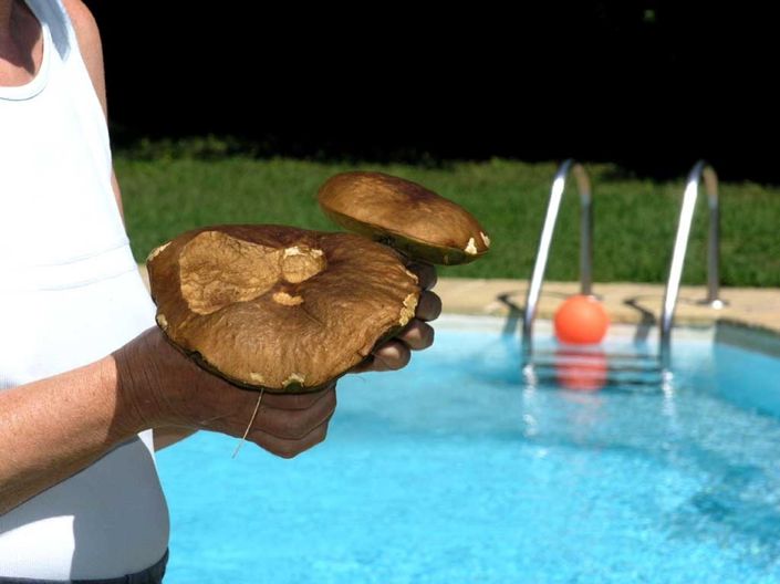 Image No.12-6 Bed Country House for sale