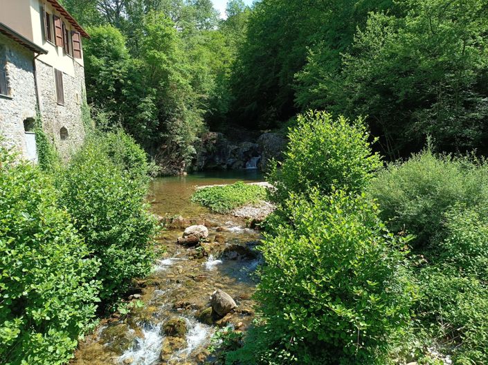 Image No.4-6 Bed Country House for sale