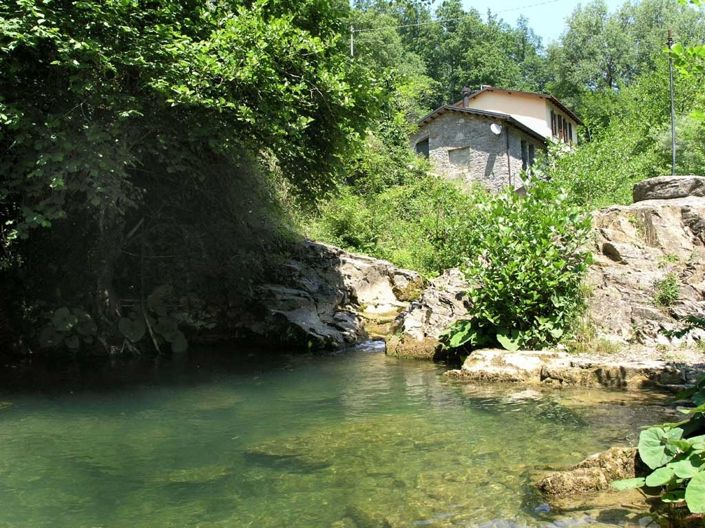 Image No.7-6 Bed Country House for sale