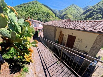 vendita-propriet-indipendente-lucca-rif-grf-1