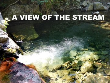 vendita-propriet-indipendente-lucca-rif-grf-1