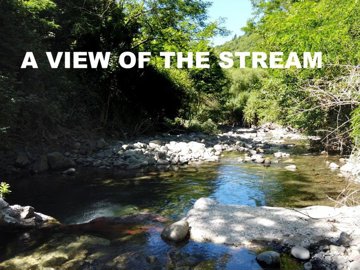 vendita-propriet-indipendente-lucca-rif-grf-1