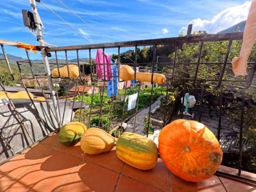 vendita-propriet-semi-indipendente-lucca-rif-