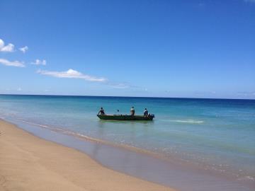1 - Nevis, Land