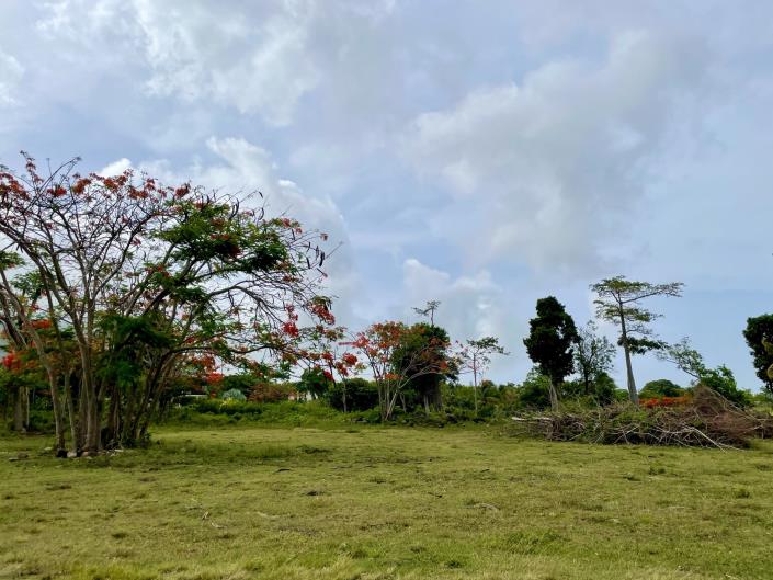 Image No.6-Land for sale