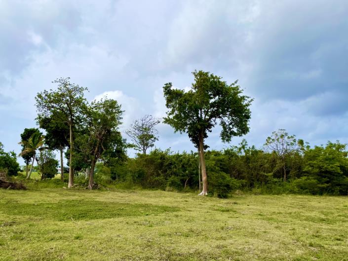 Image No.9-Land for sale