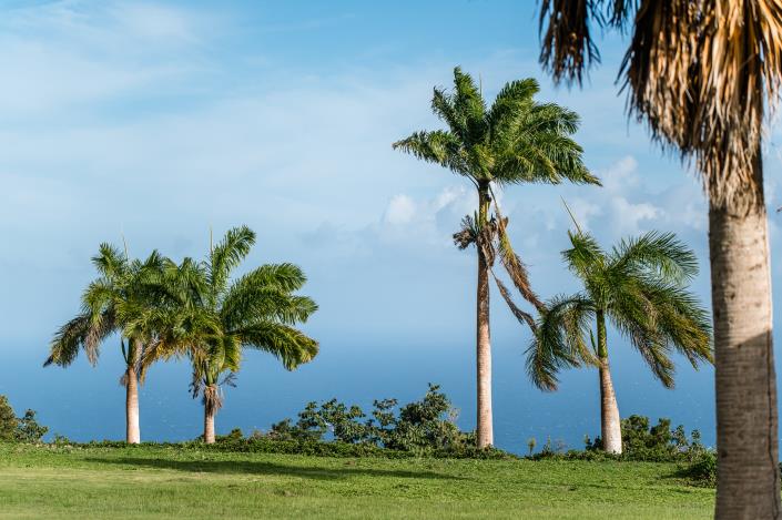 Image No.38-6 Bed Country Property for sale