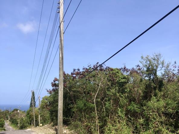 Image No.2-Land for sale