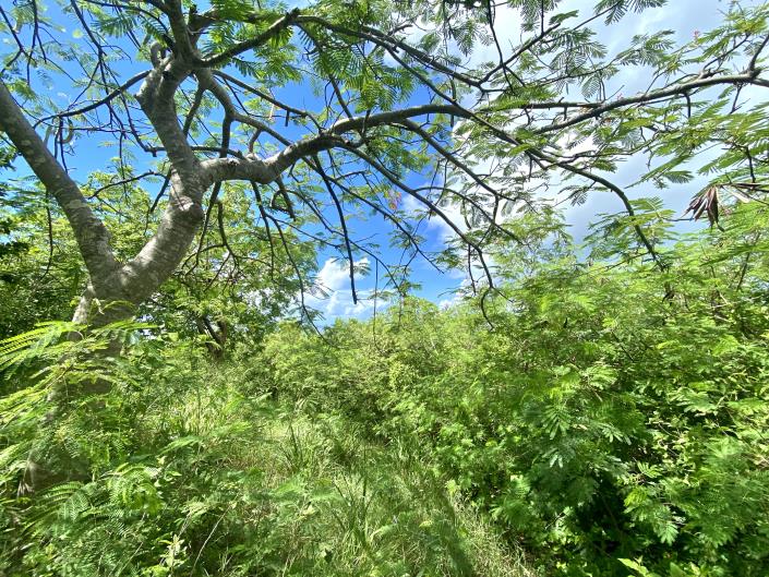 Image No.2-Land for sale