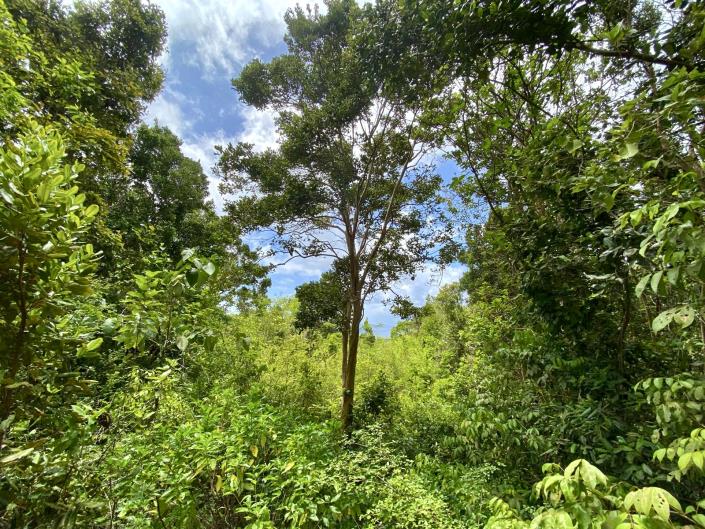 Image No.3-Land for sale