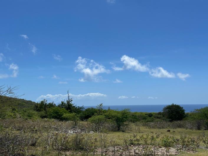 Image No.2-Land for sale