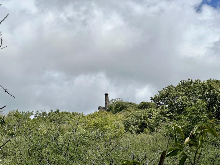 Image No.5-Land for sale