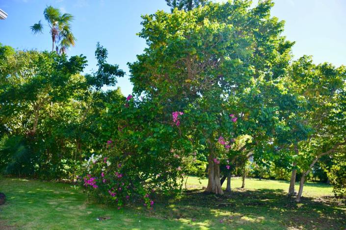 Image No.23-4 Bed Villa / Detached for sale