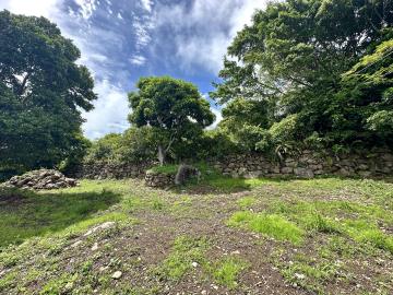 f492ed46-1b32-4dd0-841f-c23705e0a9cc