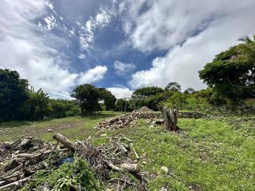 53f86739-0a08-4d27-914f-52736dded6eb