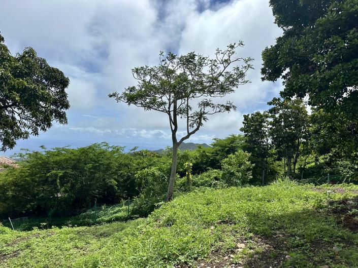 Image No.1-Land for sale