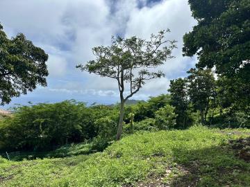 9e195000-ab2b-4c64-a197-52b3c188a6fb