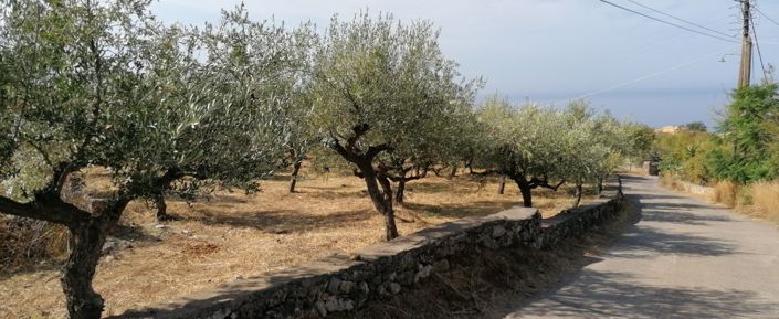 Image No.3-Plot for sale