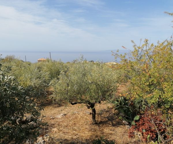 Image No.6-Plot for sale