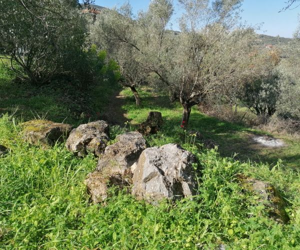 Image No.10-Plot for sale