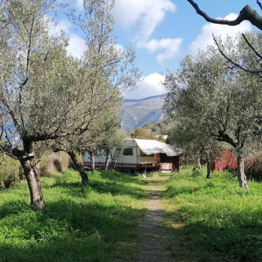 Image No.2-Plot for sale