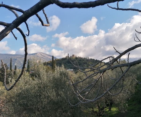 Image No.5-Plot for sale