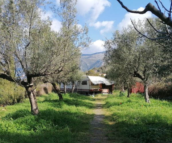 Image No.6-Plot for sale