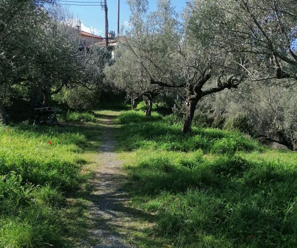 Image No.8-Plot for sale