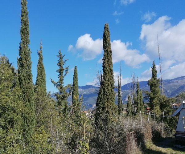 Image No.9-Plot for sale