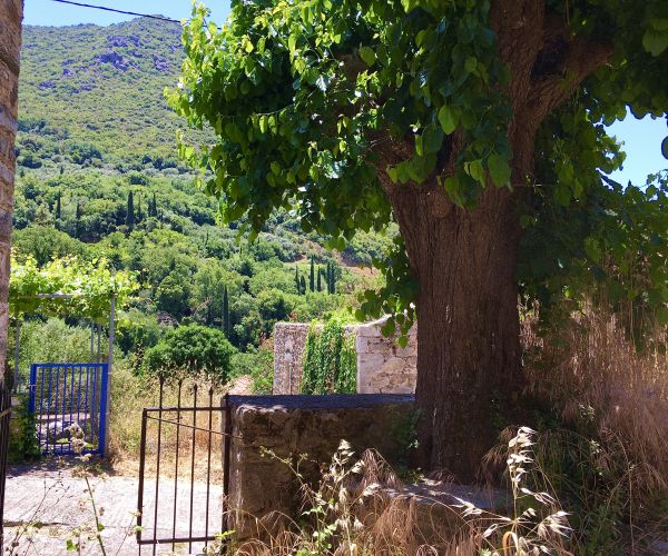 Image No.7-2 Bed House for sale