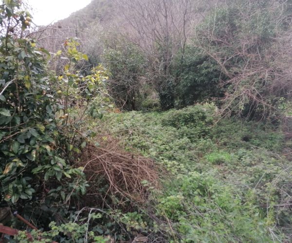 Image No.6-3 Bed House for sale