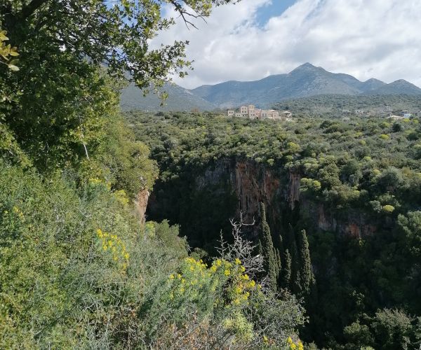 Image No.4-2 Bed House for sale