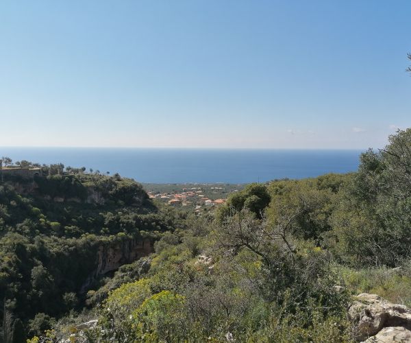 Image No.6-2 Bed House for sale