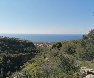 img202203031142222025-02-08-104327cmlc