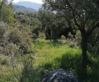 img202203031144132025-02-08-104339oazq