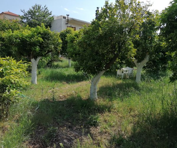 Image No.6-3 Bed House for sale