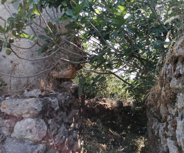 Image No.12-3 Bed House for sale