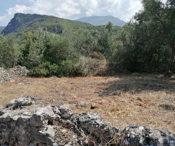 Image No.6-3 Bed House for sale