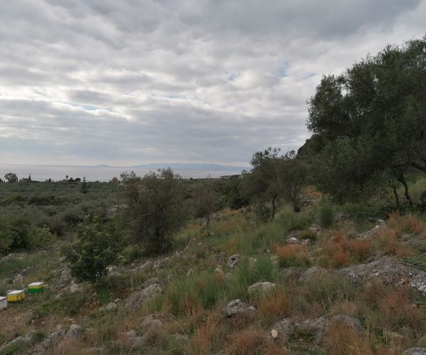 Image No.5-Plot for sale