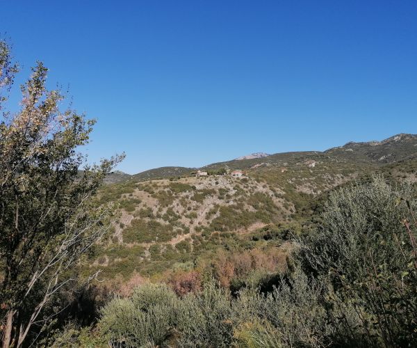 Image No.10-3 Bed House for sale