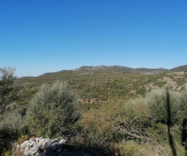 Image No.12-3 Bed House for sale