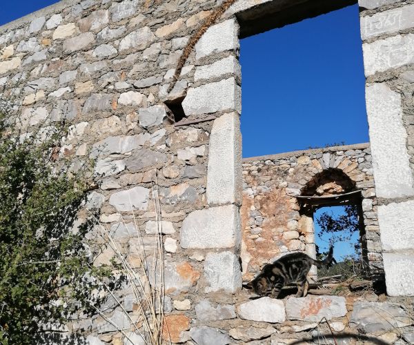 Image No.8-3 Bed House for sale